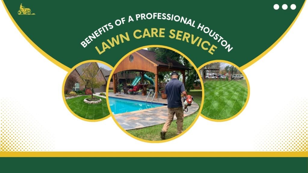 Lawn care tips