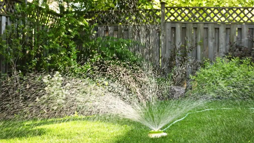 Sprinkler watering green healthy backyard with wood fencing