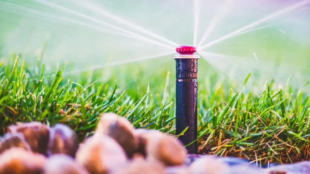 Lawn Irrigation head spraying green lawn