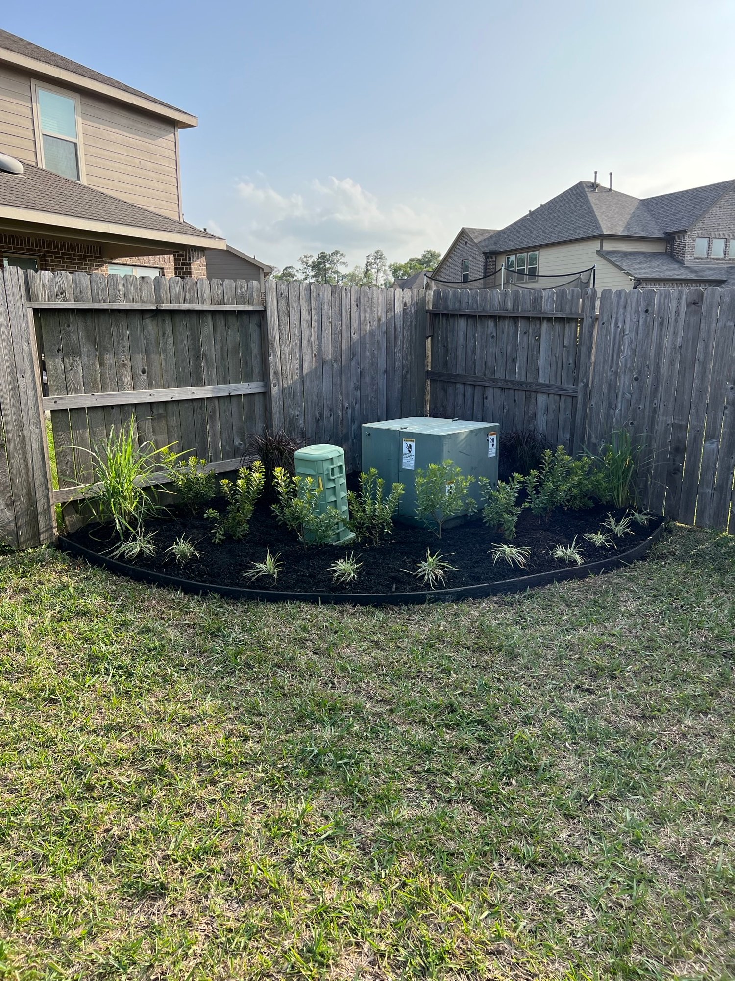 Newly installed, year-round interest garden in a backyard, designed to screen unsightly utility boxes with a mix of evergreen shrubs and ornamental plants.