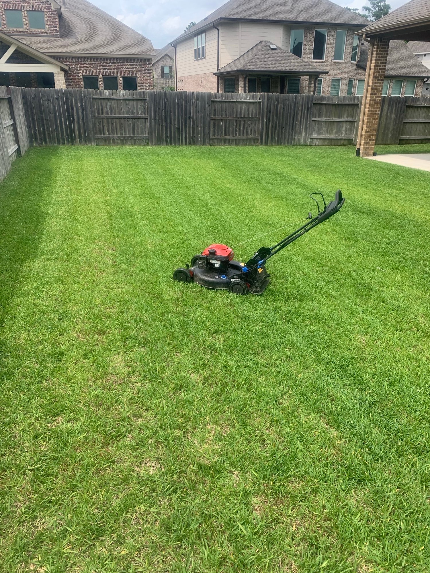 Backyard lawn care with mower in focus, showcasing a freshly cut, vibrant green lawn in both the foreground and background.