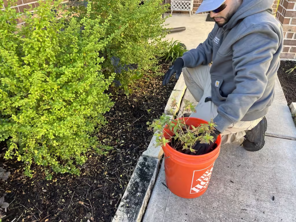 Professional landscaper wearing gloves and a hoodie is kneeling beside a mulched garden bed, pulling weeds and placing them into an orange Home Depot bucket. The neatly maintained bed borders a lush green shrub, and the scene captures hands-on garden maintenance in a residential setting.