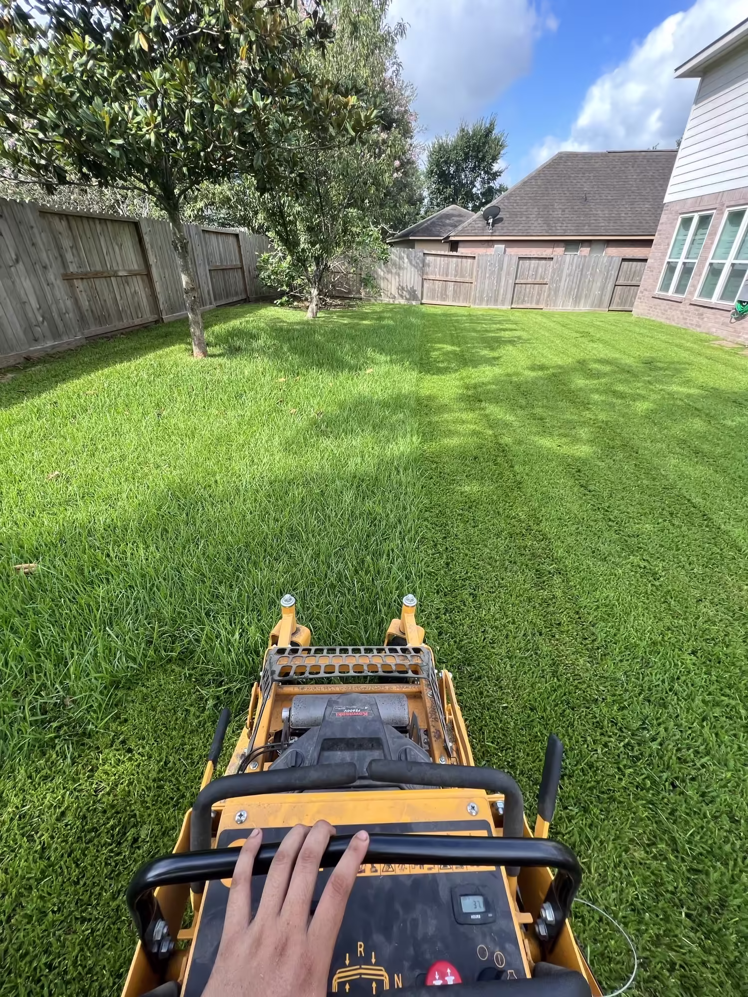 Lawn mowing after sod establishment in Kingwood