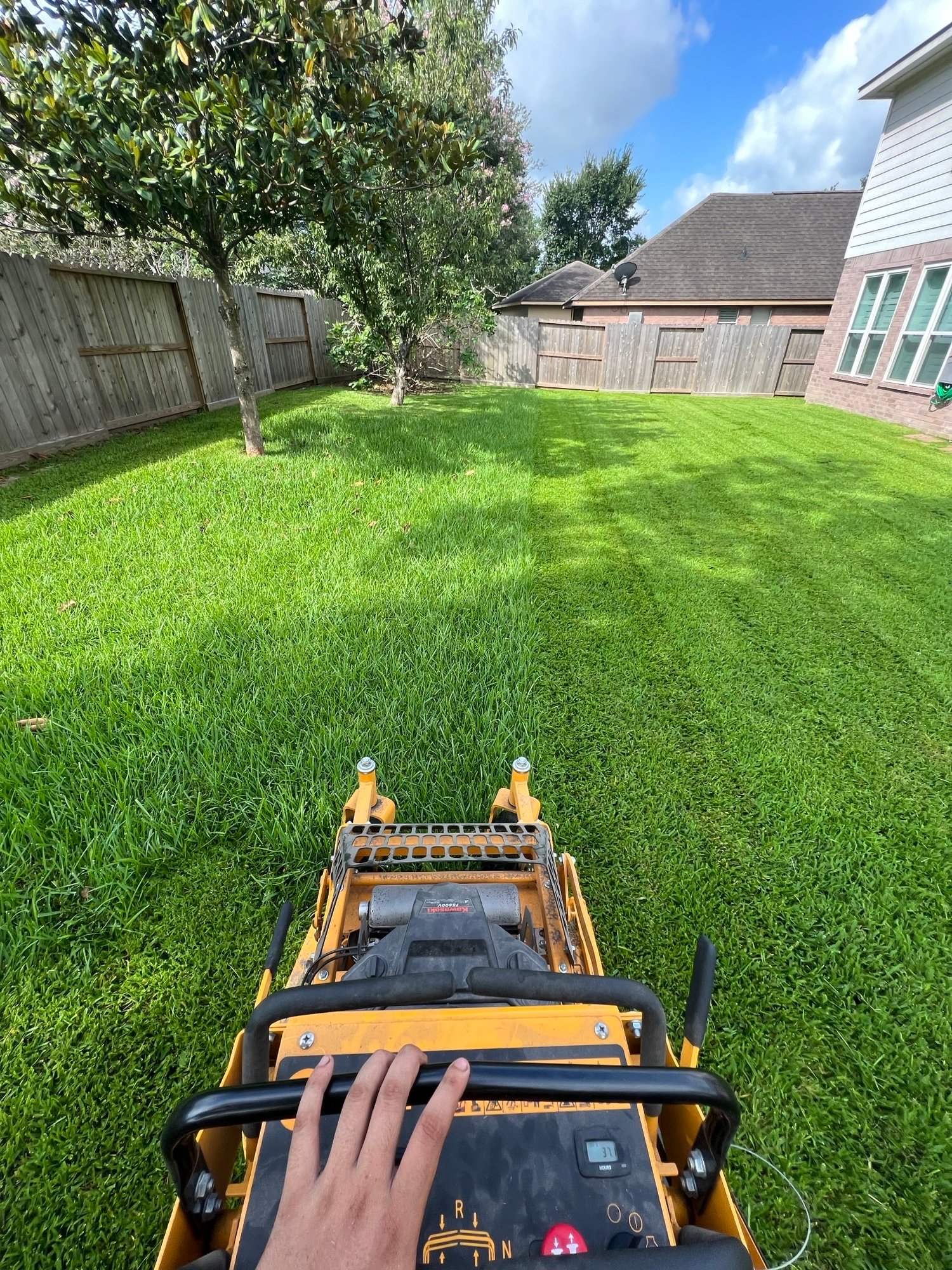 Mowing Healthy St Augustine grass in summerwood Texas backyard
