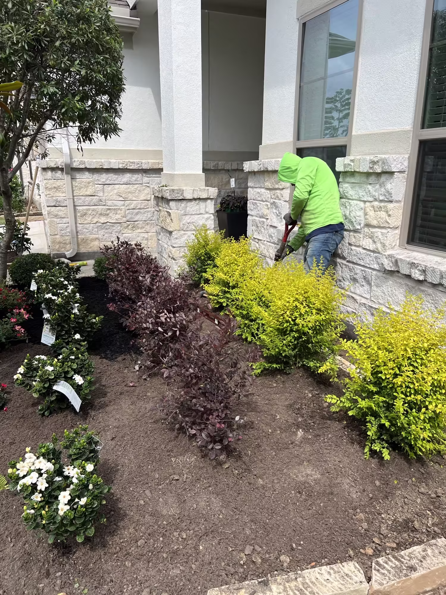 Manicured Outdoor Space