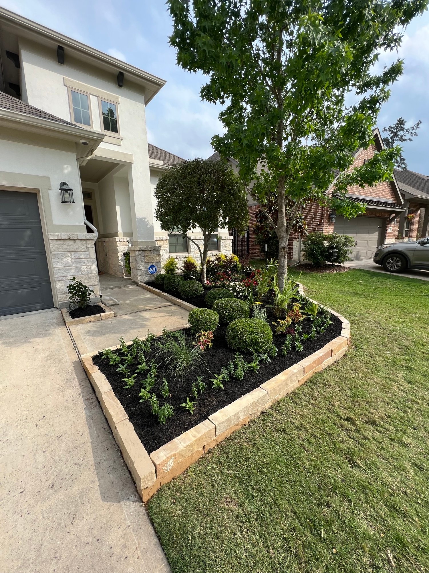 Enhancing evergreen Bushes and trees in Houston Texas front garden