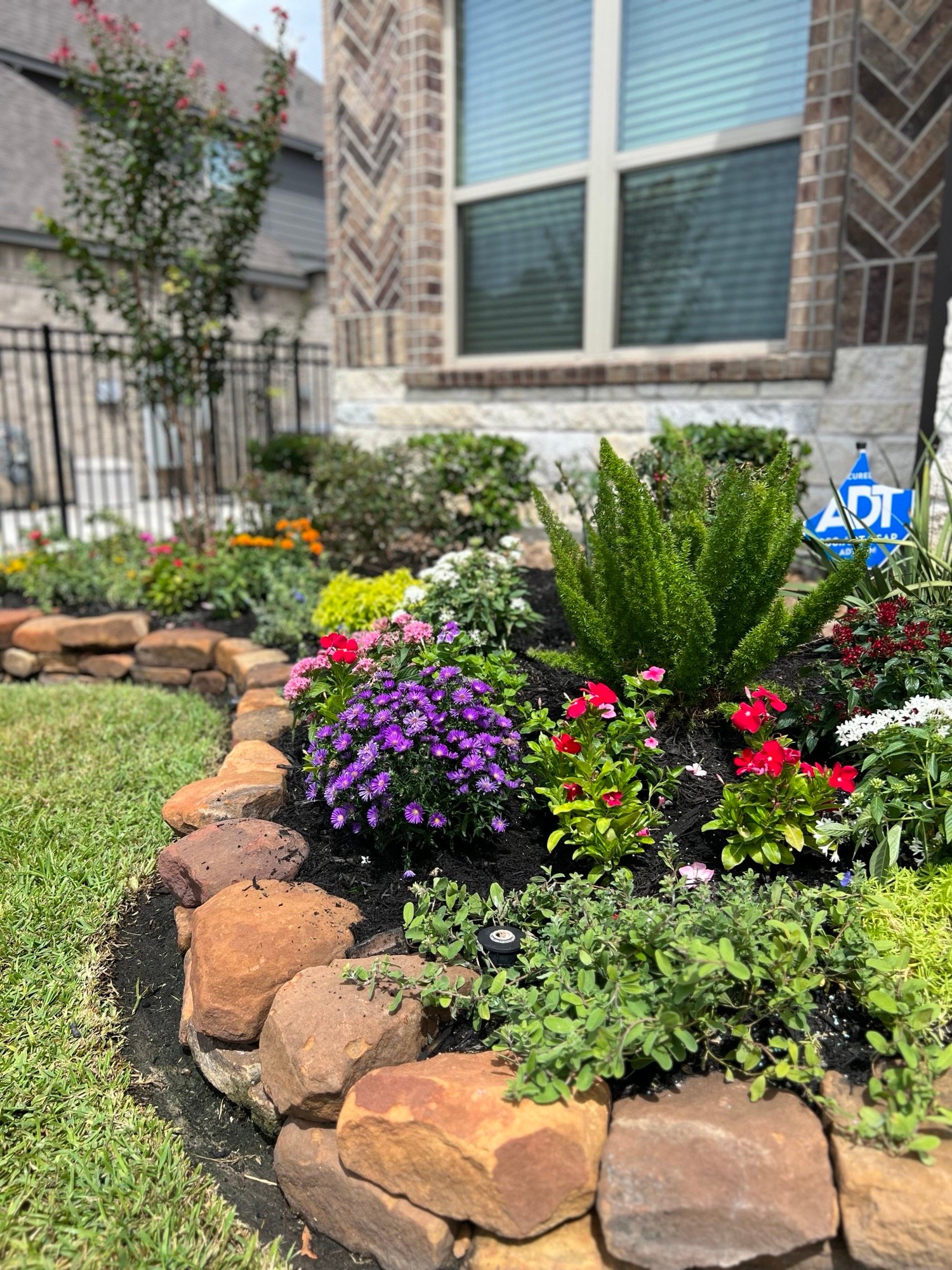 Front lawn and thriving garden near Lake Houston featuring a colorful mix of annuals and perennials, showcasing healthy landscape design and plant care.