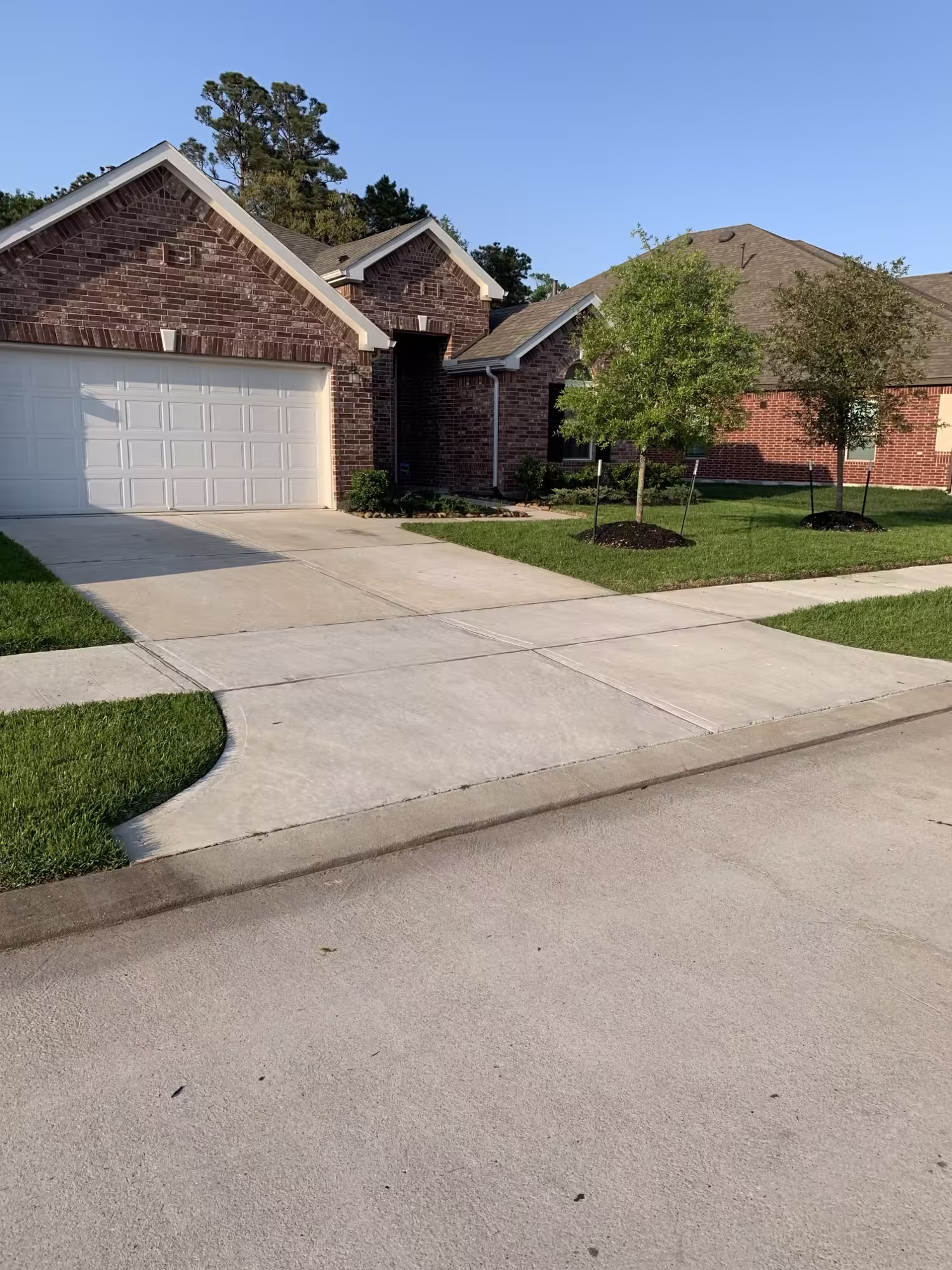 Maintained residential lawn and landscape on a Houston property