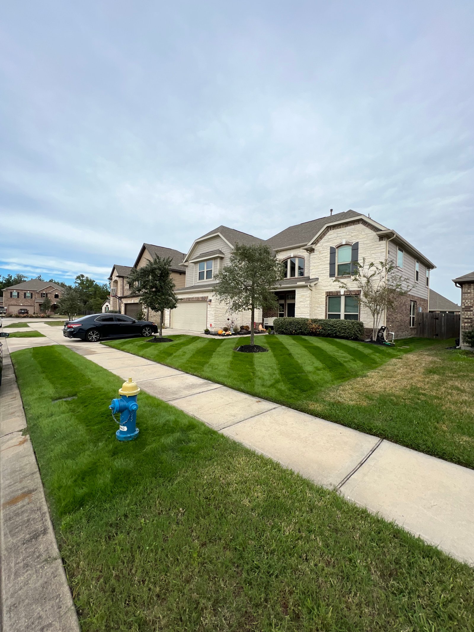 Vibrant, neatly striped front lawn showcasing healthy, well-maintained grass. The contrast is evident compared to the neighboring lawn, highlighting the difference in lawn care quality