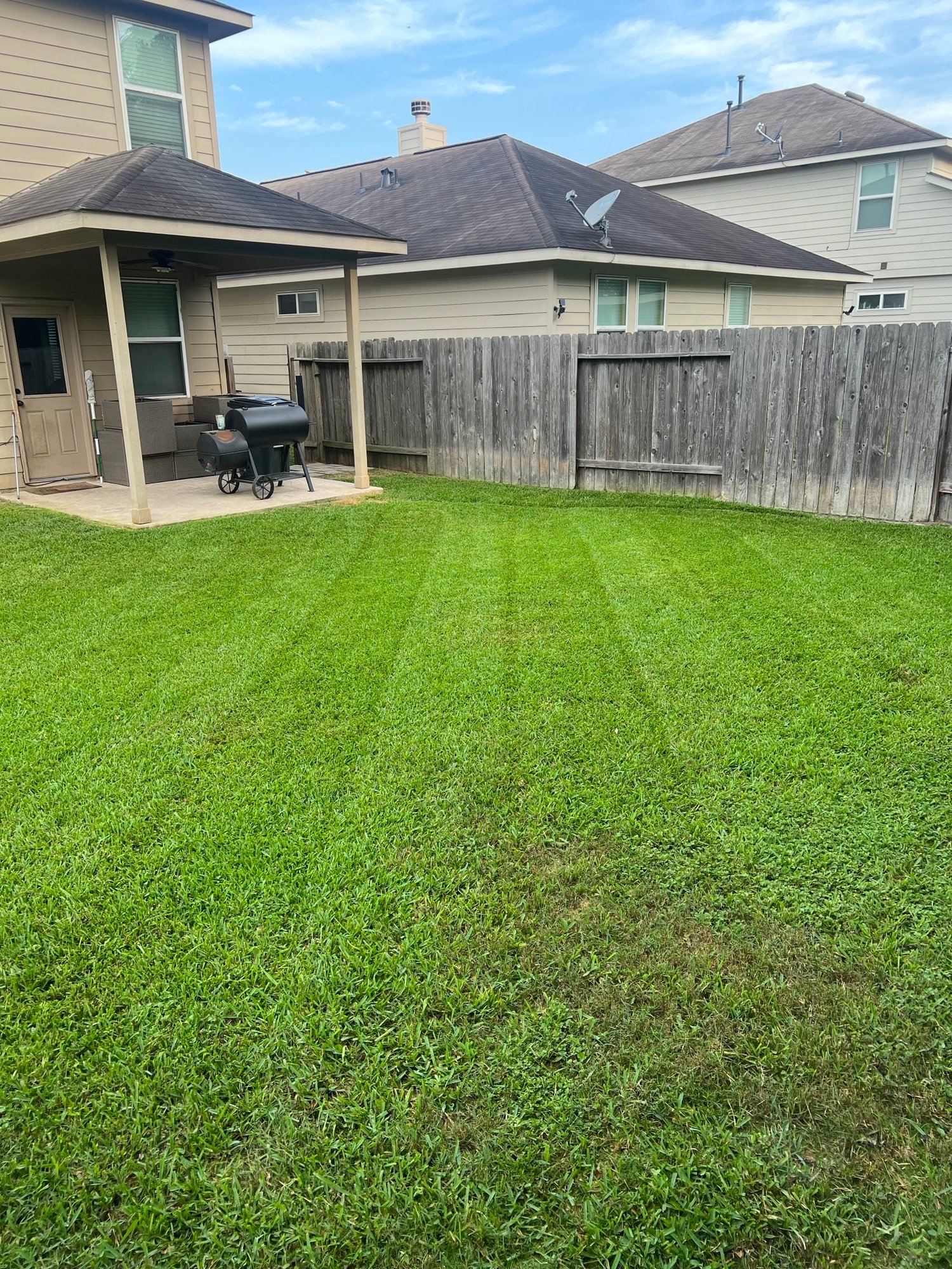 Backyard St. Augustine grass with fresh diagonal mowing stripes.