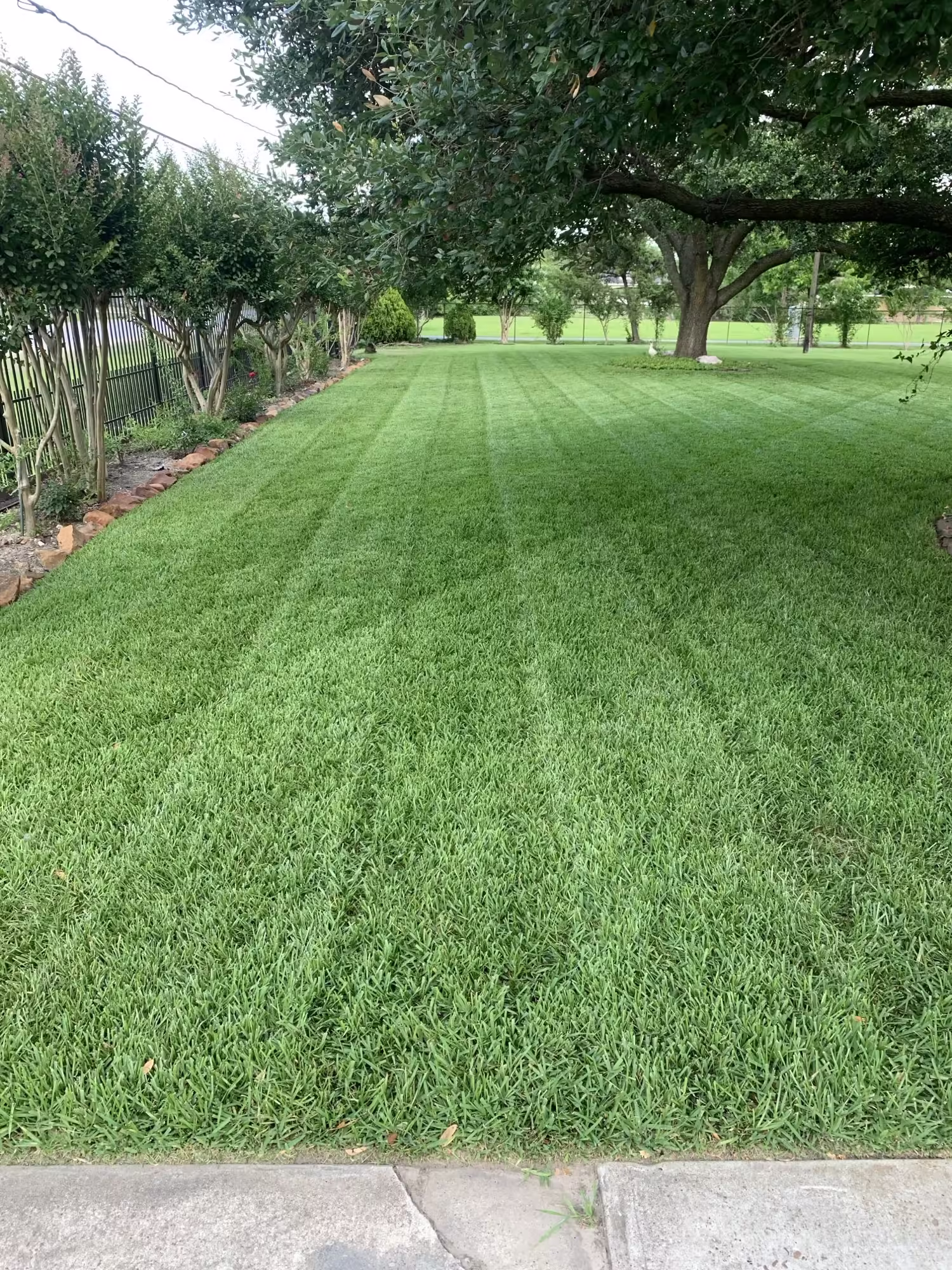 Well-maintained lawn after organic soil amendment in Houston