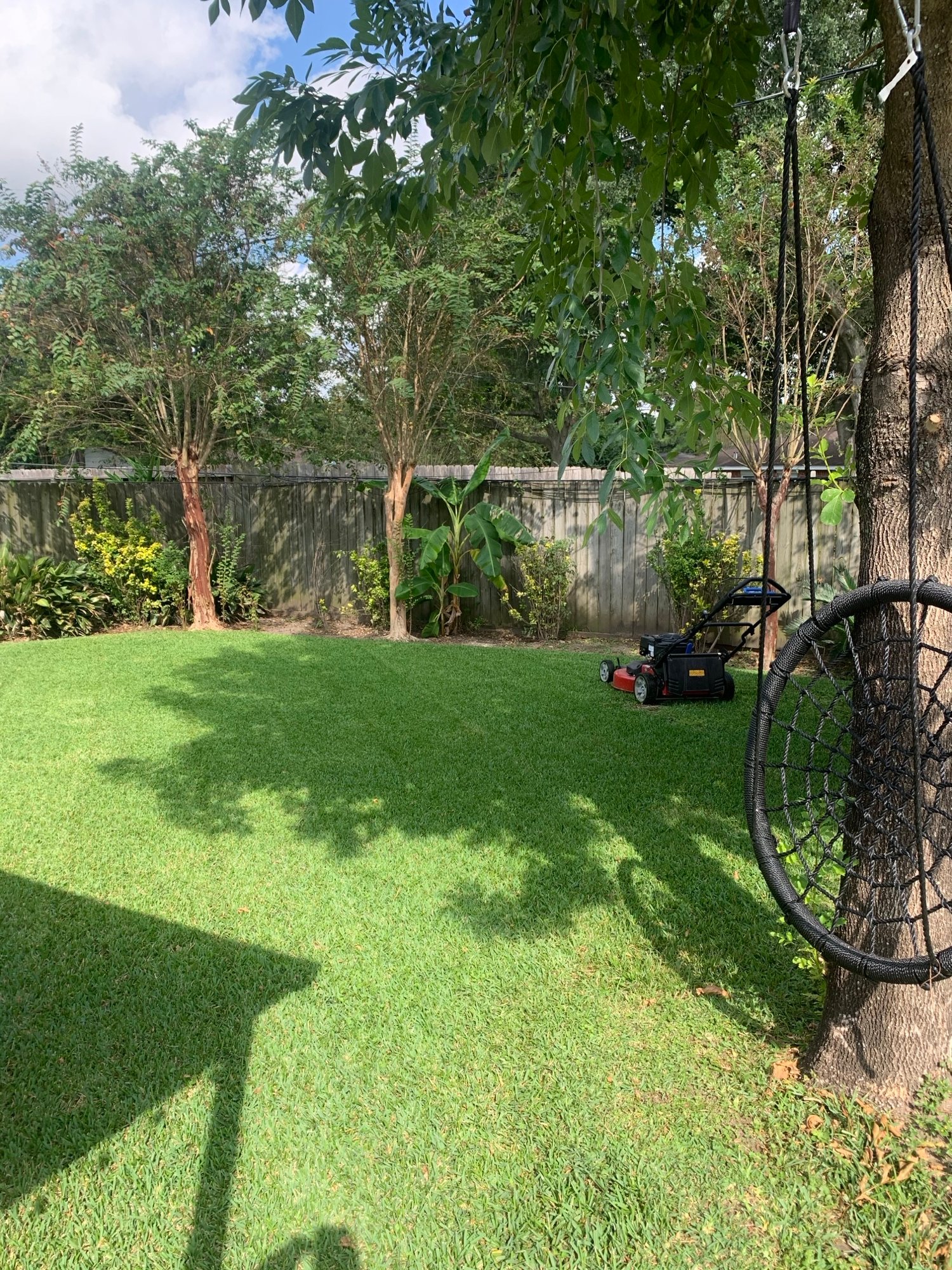 Backyard lawn freshly mowed with mower in background near landscape beds