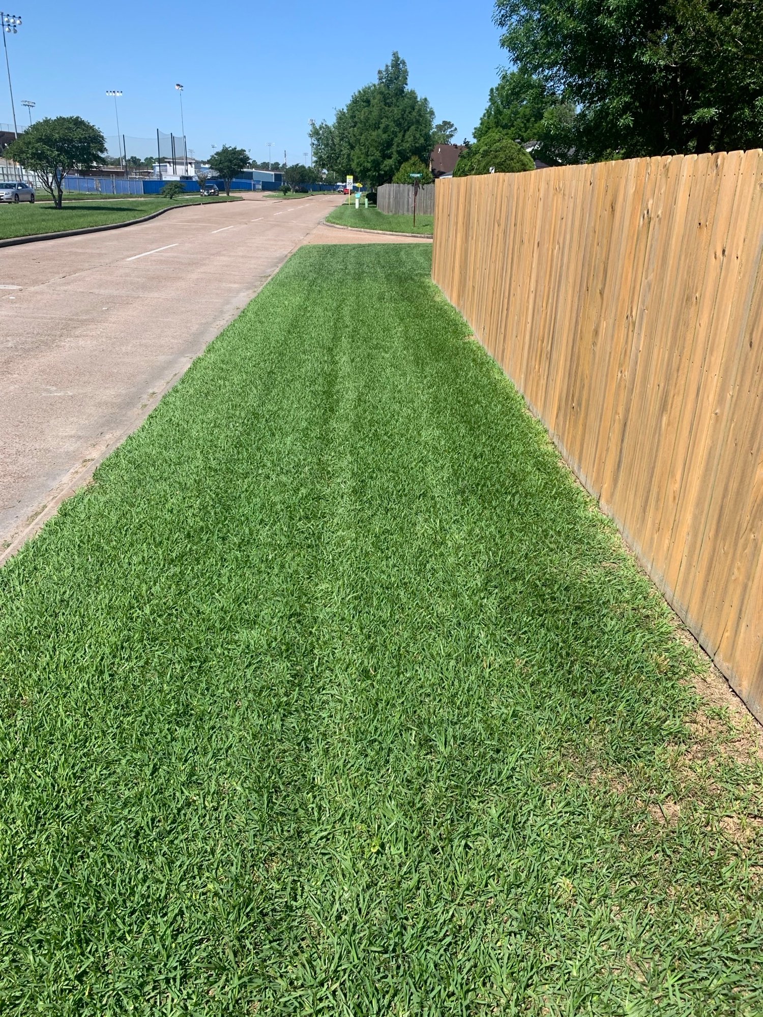 Lawn care maintenance completed, showcasing a clean, professional finish with no debris left behind, enhancing curb appeal.