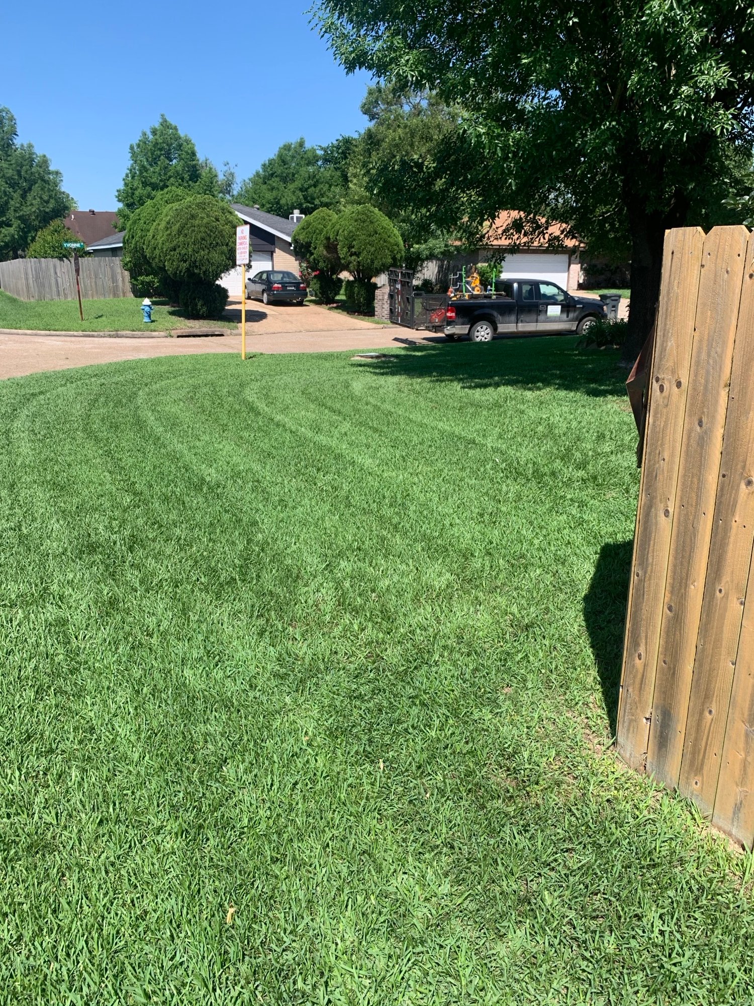 Crisp, freshly mowed lawn with defined stripes, highlighting expert lawn maintenance and attention to detail