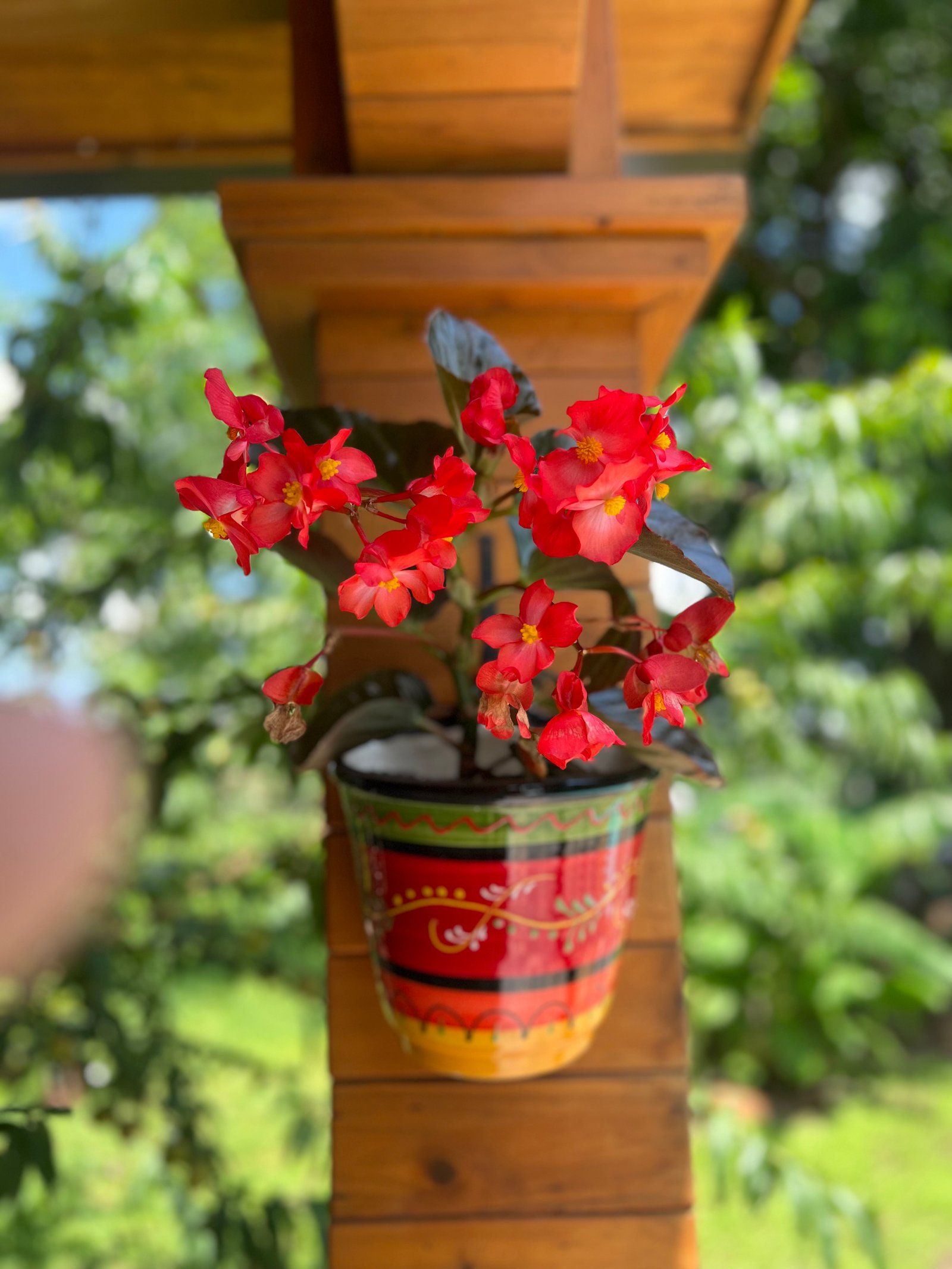 Red begonia blooms installed on a wooden decorative column, enhancing the outdoor area with vibrant color and charm.