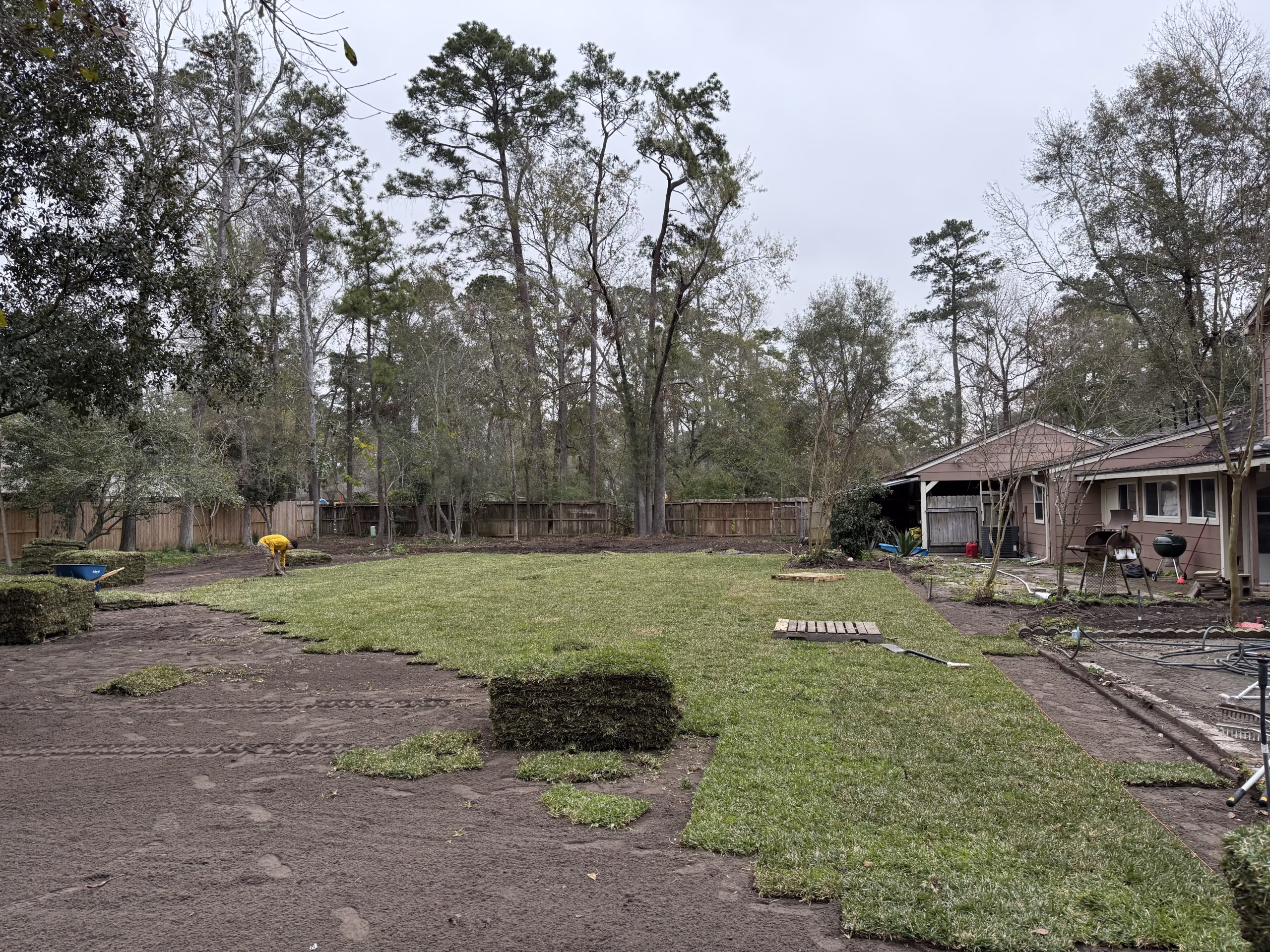 Sod Installation in Kingwood by Evergreen Outdoor Services