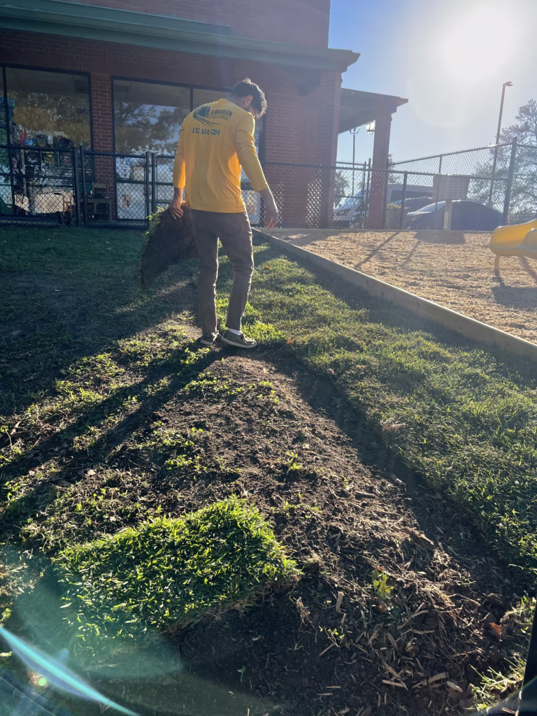 Landscaper placing sod pieces neatly in their place of installation