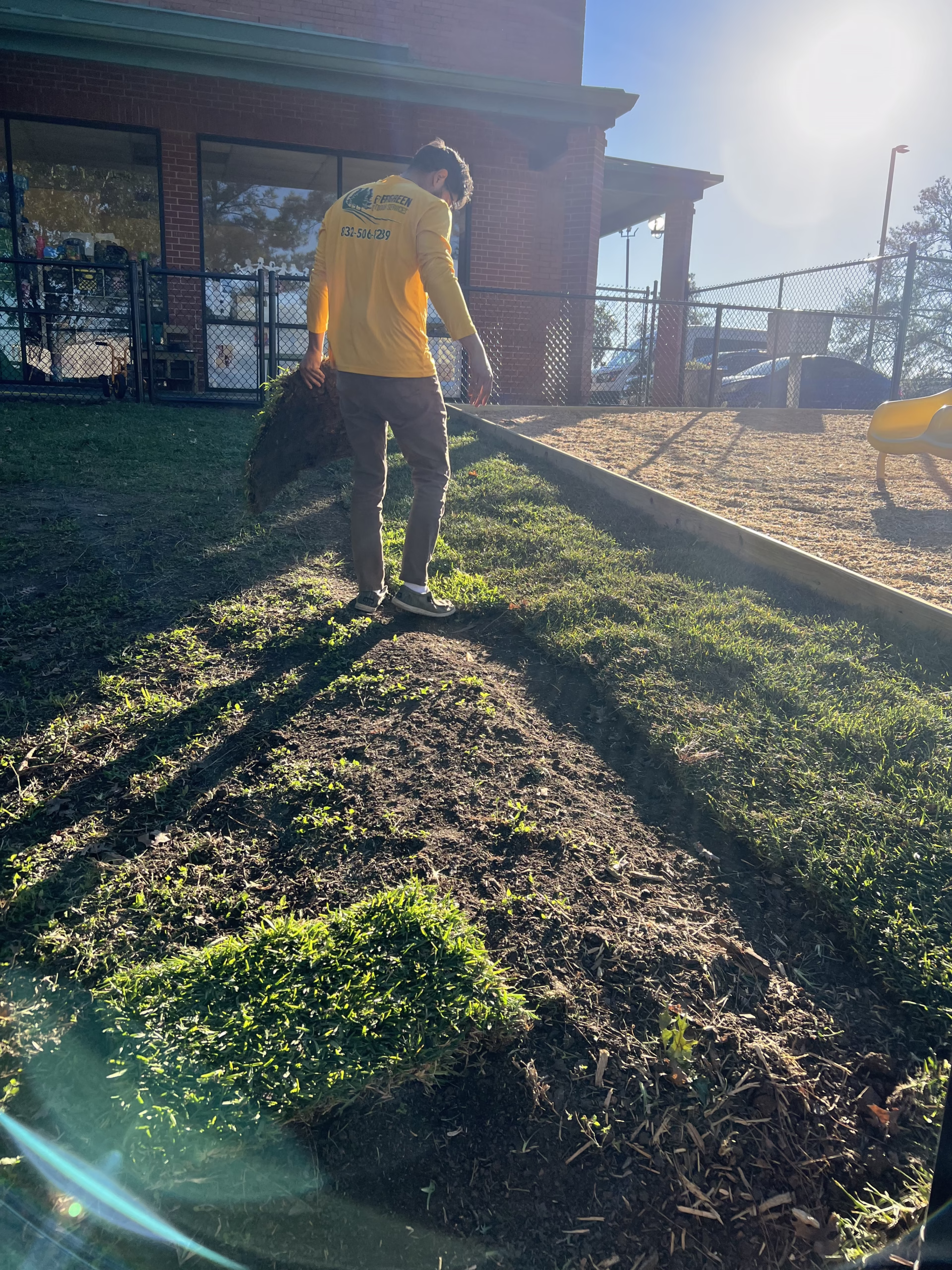 Laying down St. Augustine sod in the Kingwood area