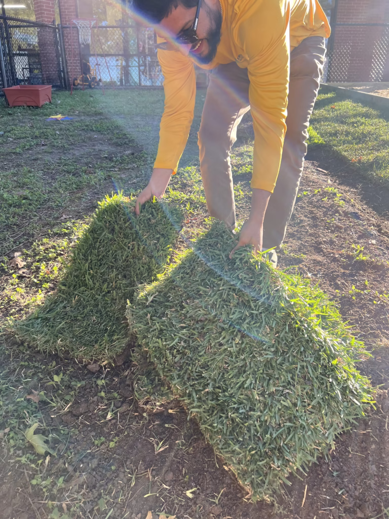 St. Augustine Sod pieces being shown by landscaper before installing