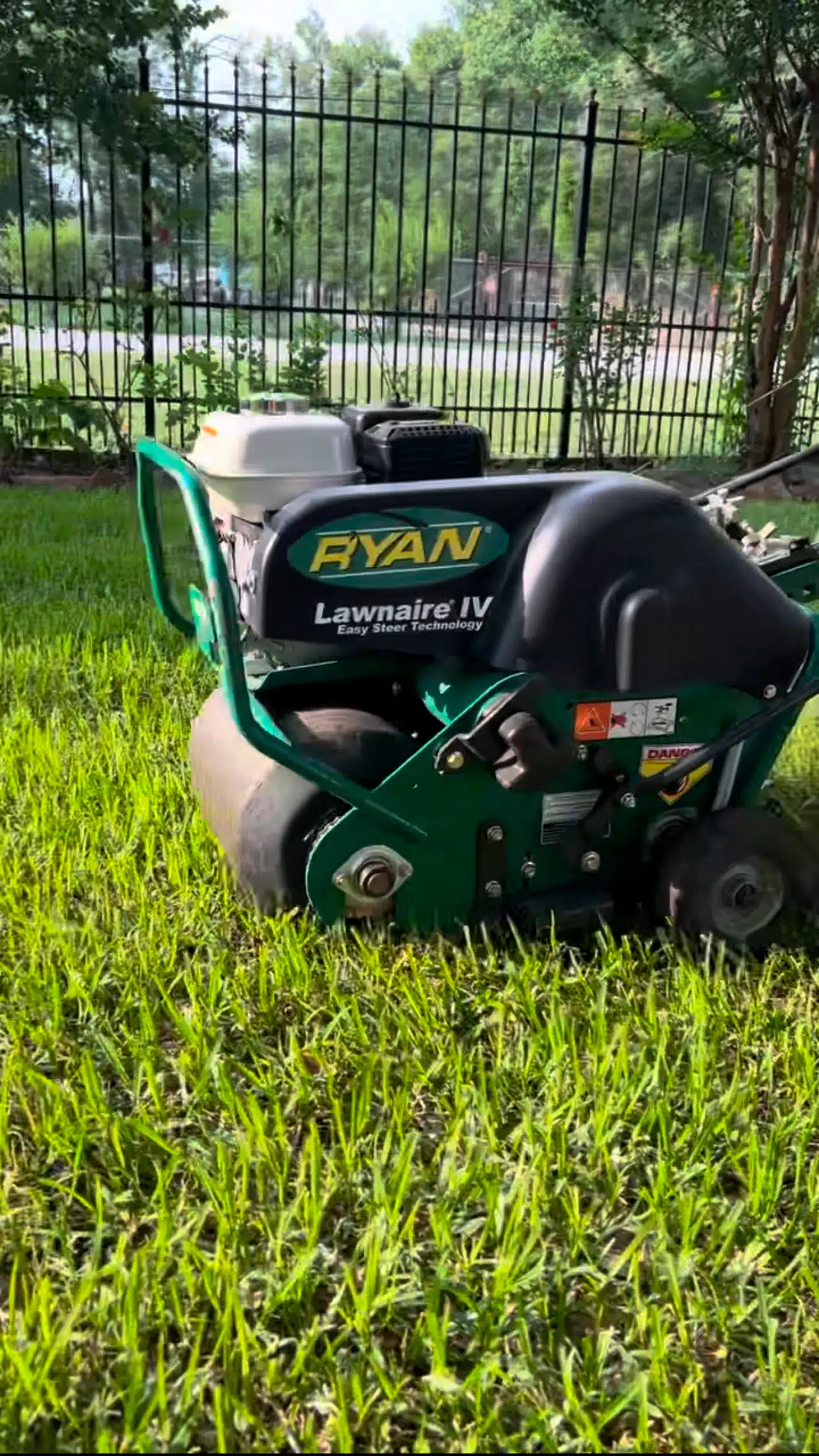 Close-up of soil cores left on a lawn after professional aeration