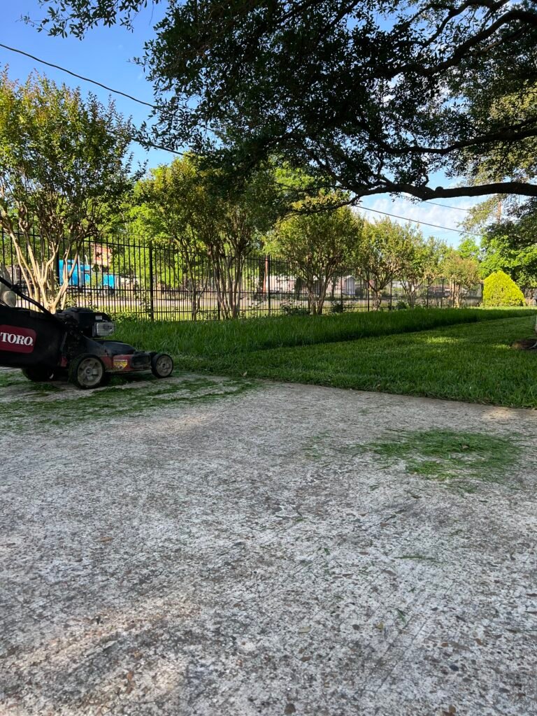 Mowing overgrown St. Augustine Lawn