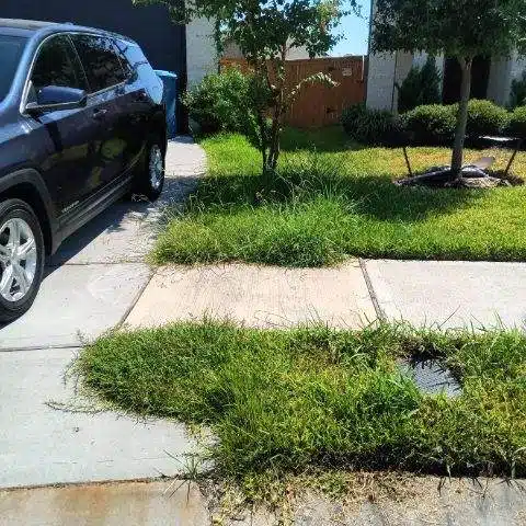Overgrown front yard in Summerwood with tall grass, unkempt edging, and scattered debris, before a professional property cleanup service