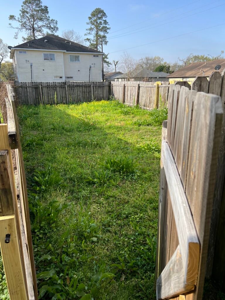 Backyard property cleanup before the service