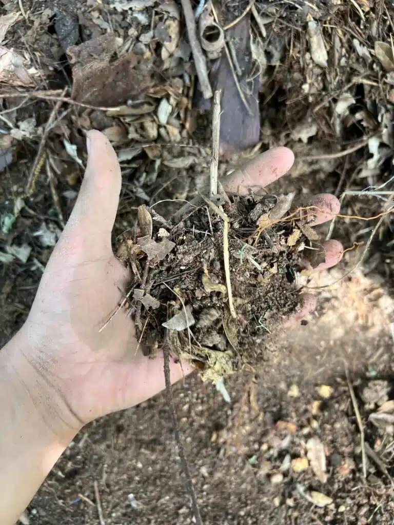 Hand holding decomposed organic matter and leaf mulch, showing healthy compost rich in soil biology for lawn and garden improvement in Houston, Texas.