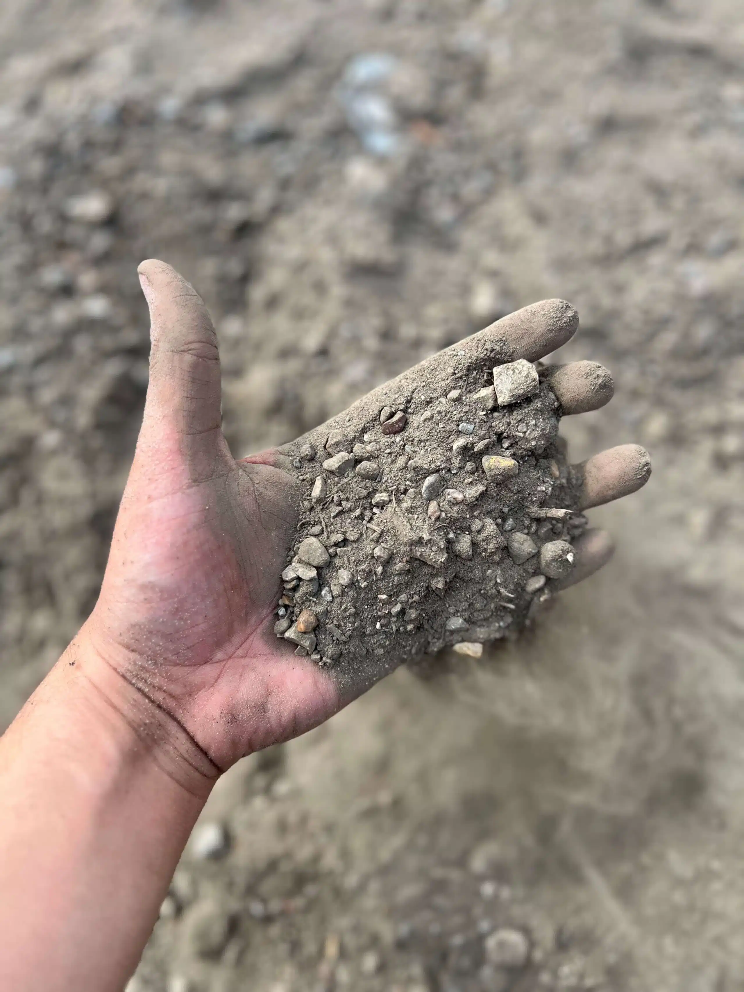 Poor soil that dooms a sod replacement Houston project: depleted clay with compaction and low organic matter