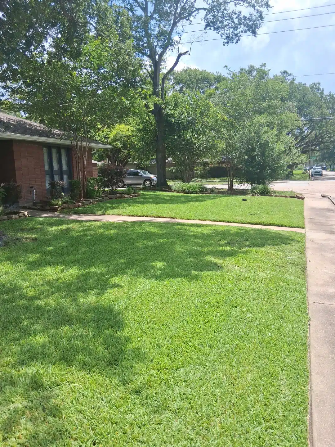 After front lawn cleanup showing a cleaner, sharper, more polished Houston yard