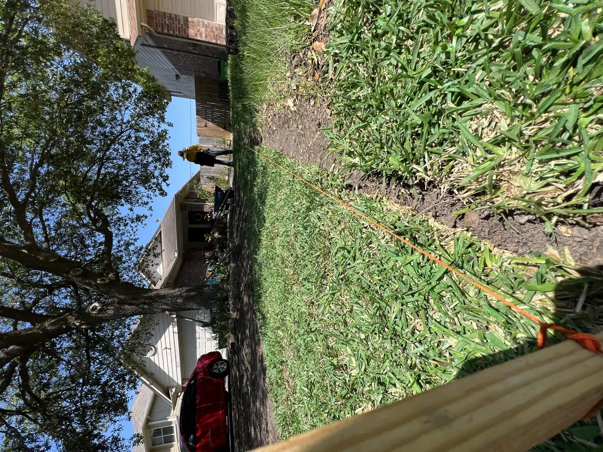 Front lawn sod installation in Houston with fresh grass being laid