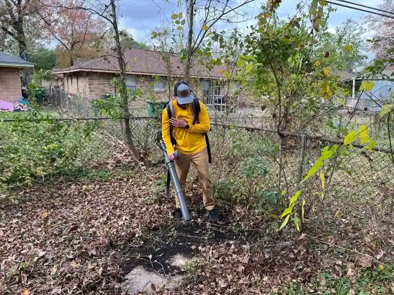 Evergreen Professional Leaf Blowing Cleanup