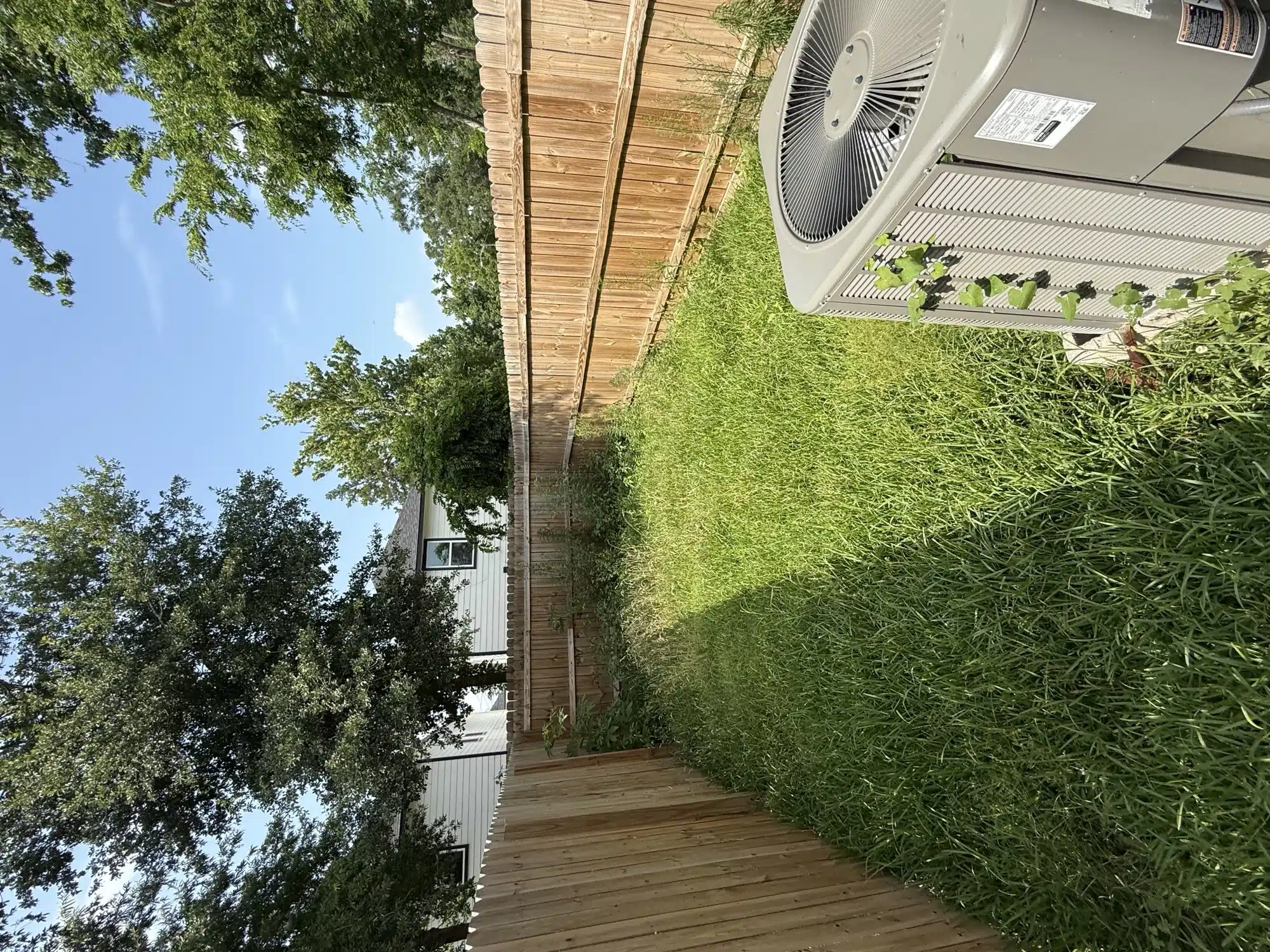 Houston Overgrown Vegetation Reset: Before