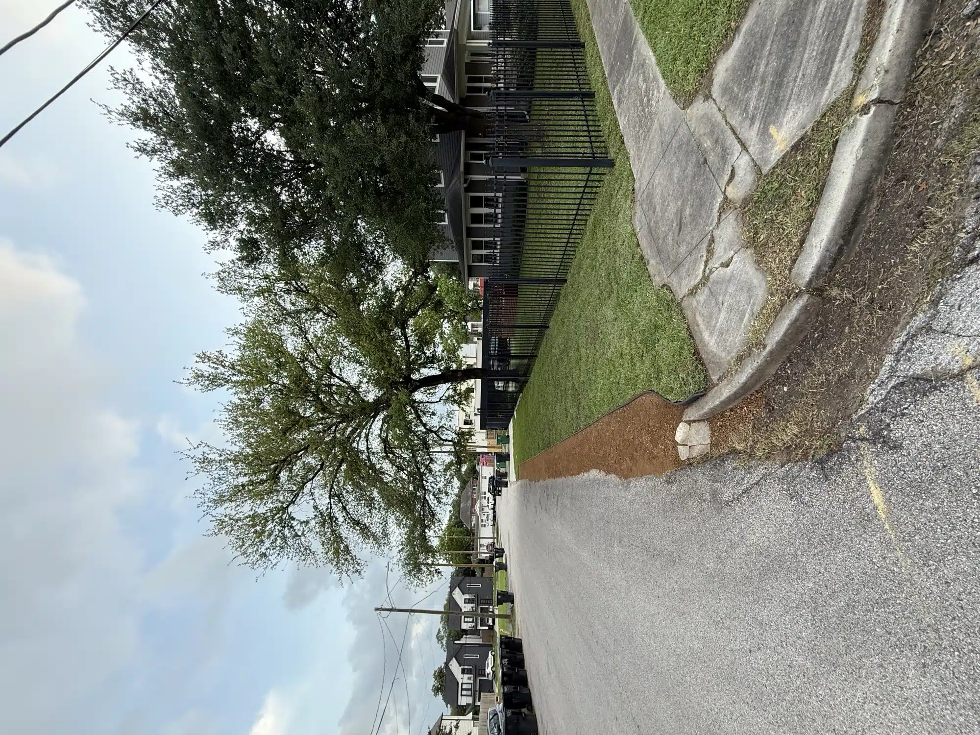 Fresh sod installed along a side lawn area in Houston