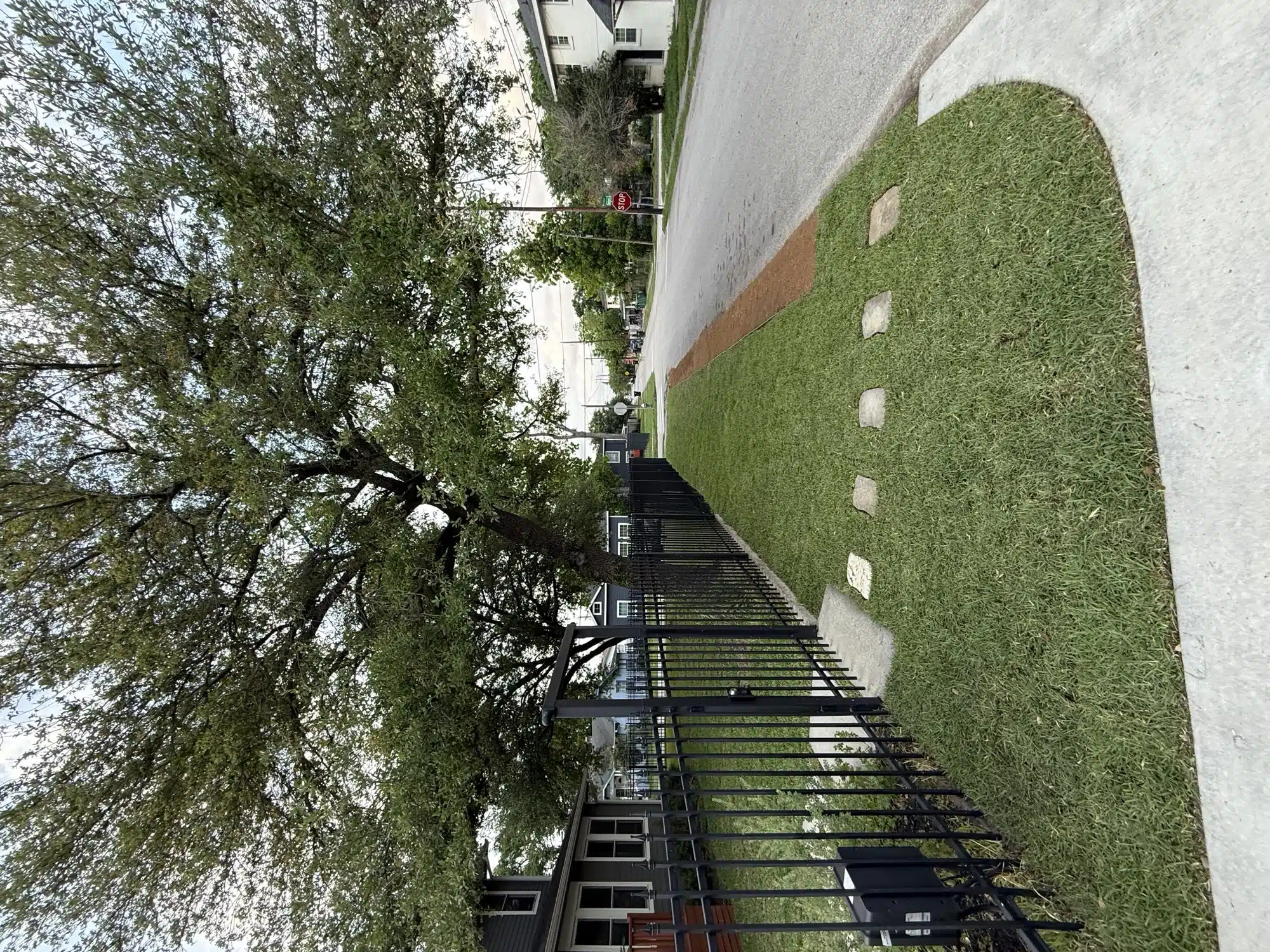 Side lawn sod installation with fresh grass in Houston
