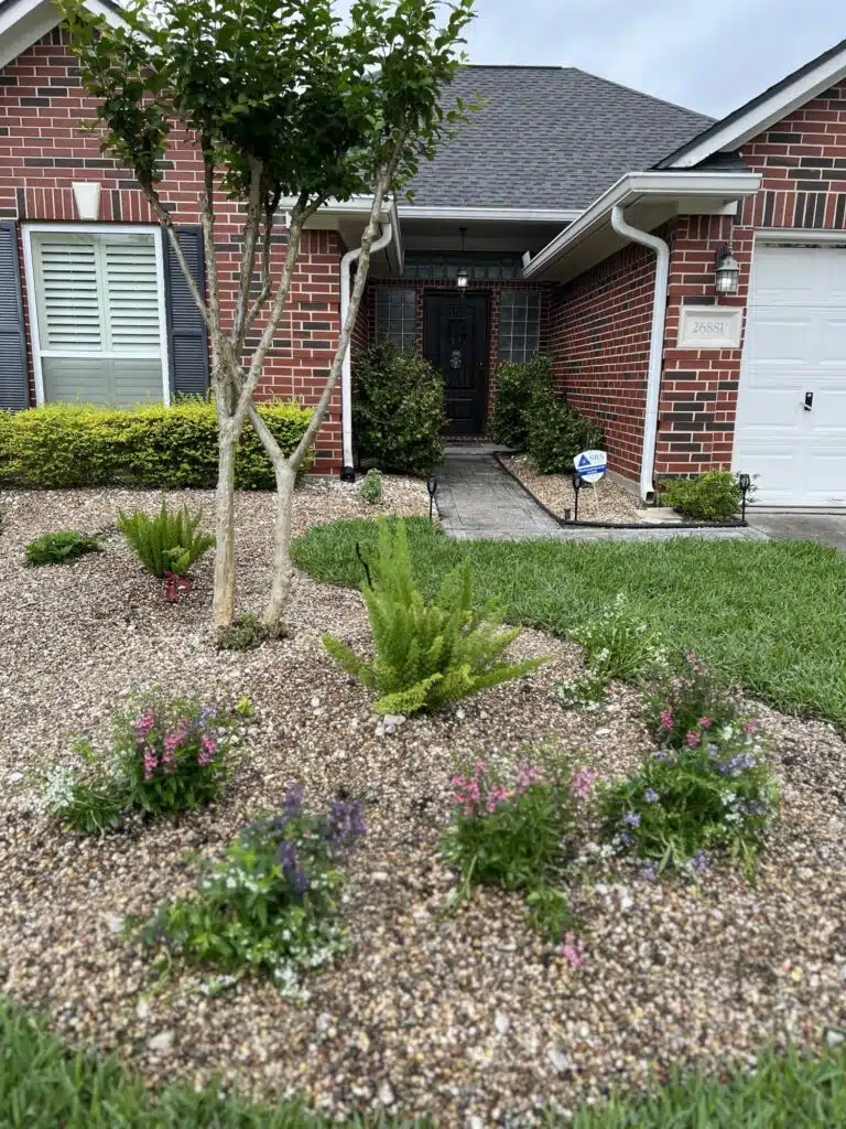 Front yard showcasing Houston rainy summer lawncare with fresh sod, decorative rock landscape bed, vibrant flowers, lush ferns, and a young crepe myrtle tree.
