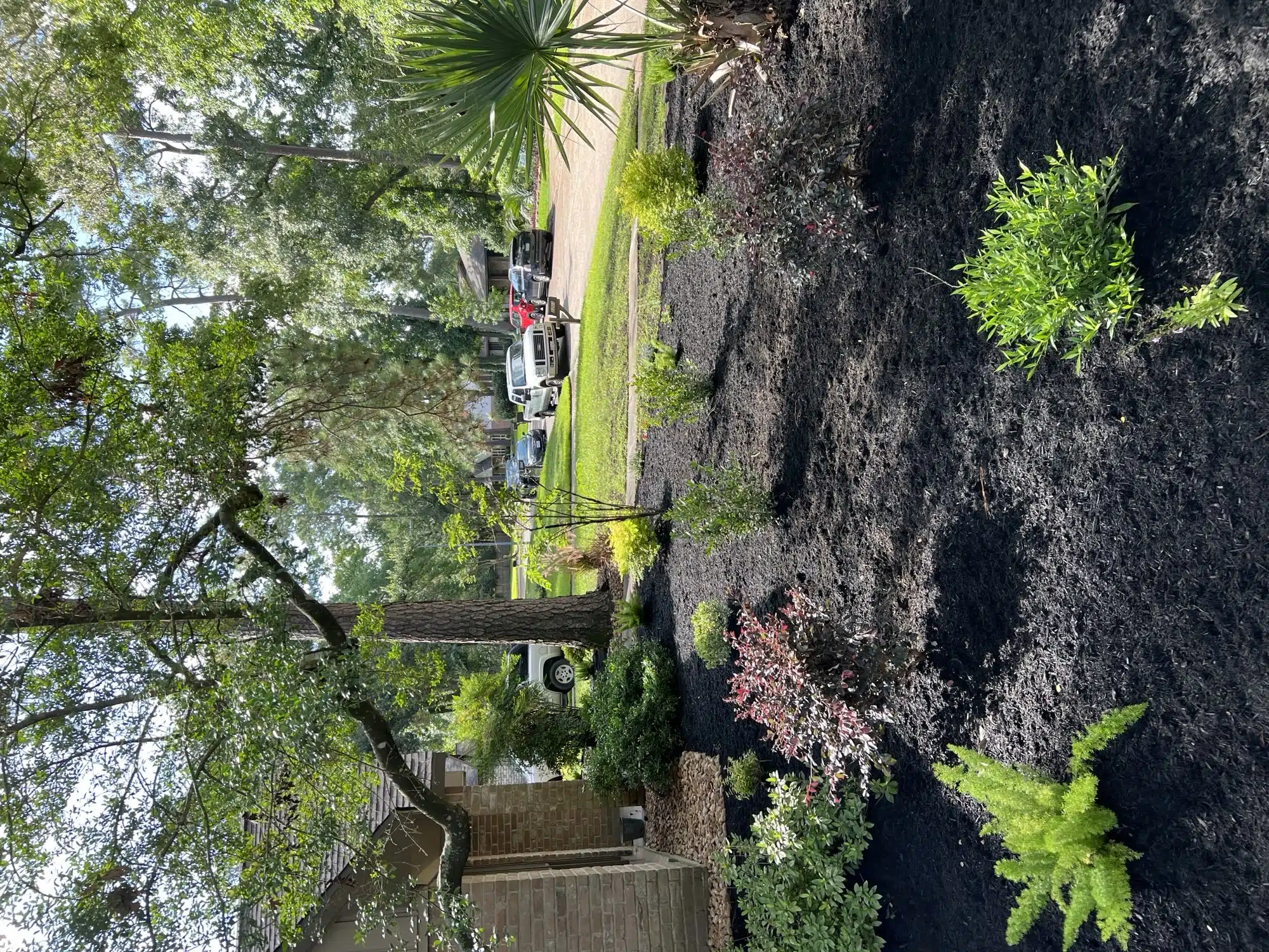 Professional landscaping in Kingwood TX showing clean beds and healthy trees