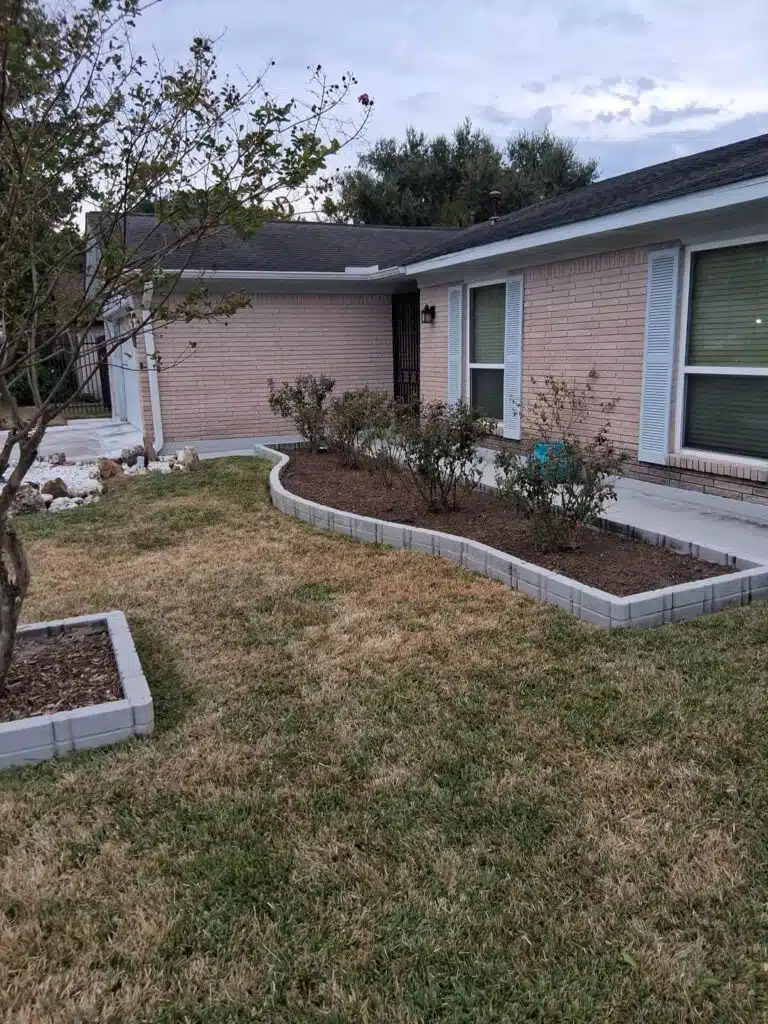 Houston front yard in mid November showing early lawn dormancy in Houston with patchy green and tan grass