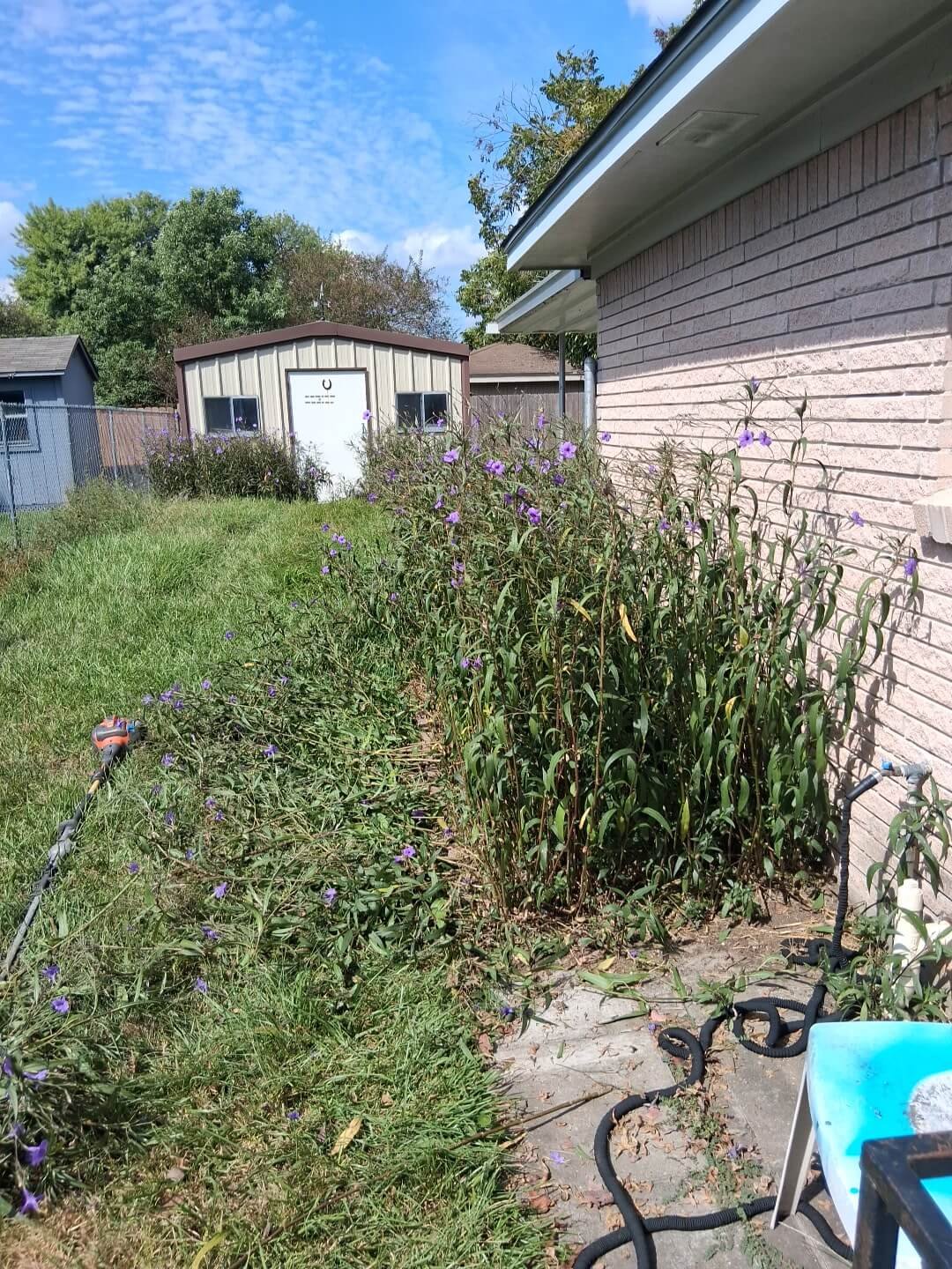 Before: overgrown Houston side yard with drainage and safety hazards