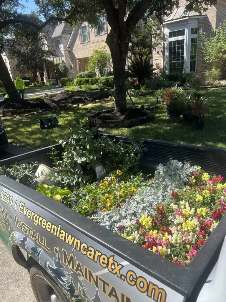 Plant delivery for a Houston fall garden with seasonal annuals and perennials being unloaded for fresh landscape color installation