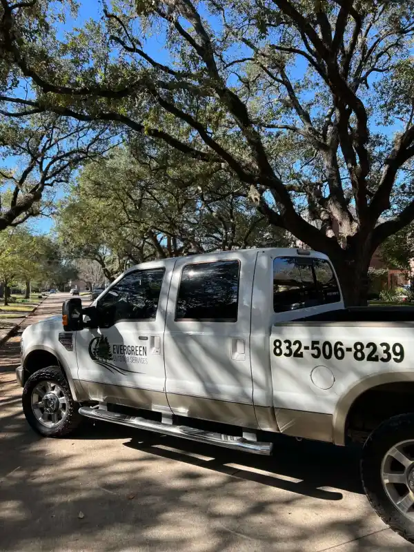 Tree work in progress in Houston by Evergreen Outdoor Services
