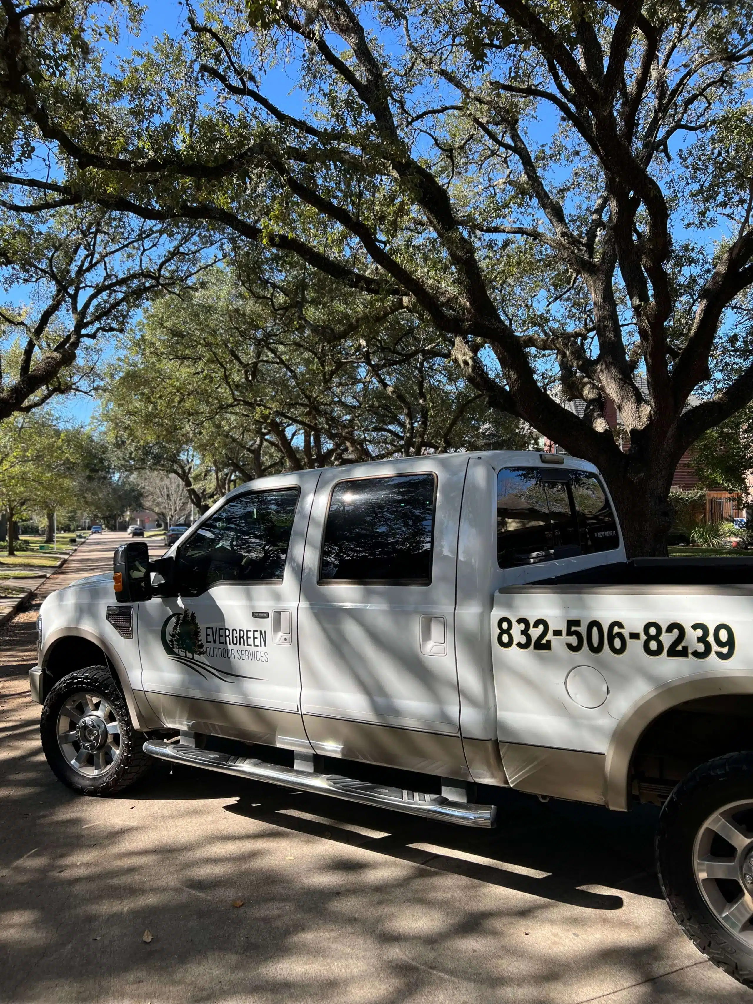 Evergreen Outdoor Services performing commercial tree trimming and safety pruning