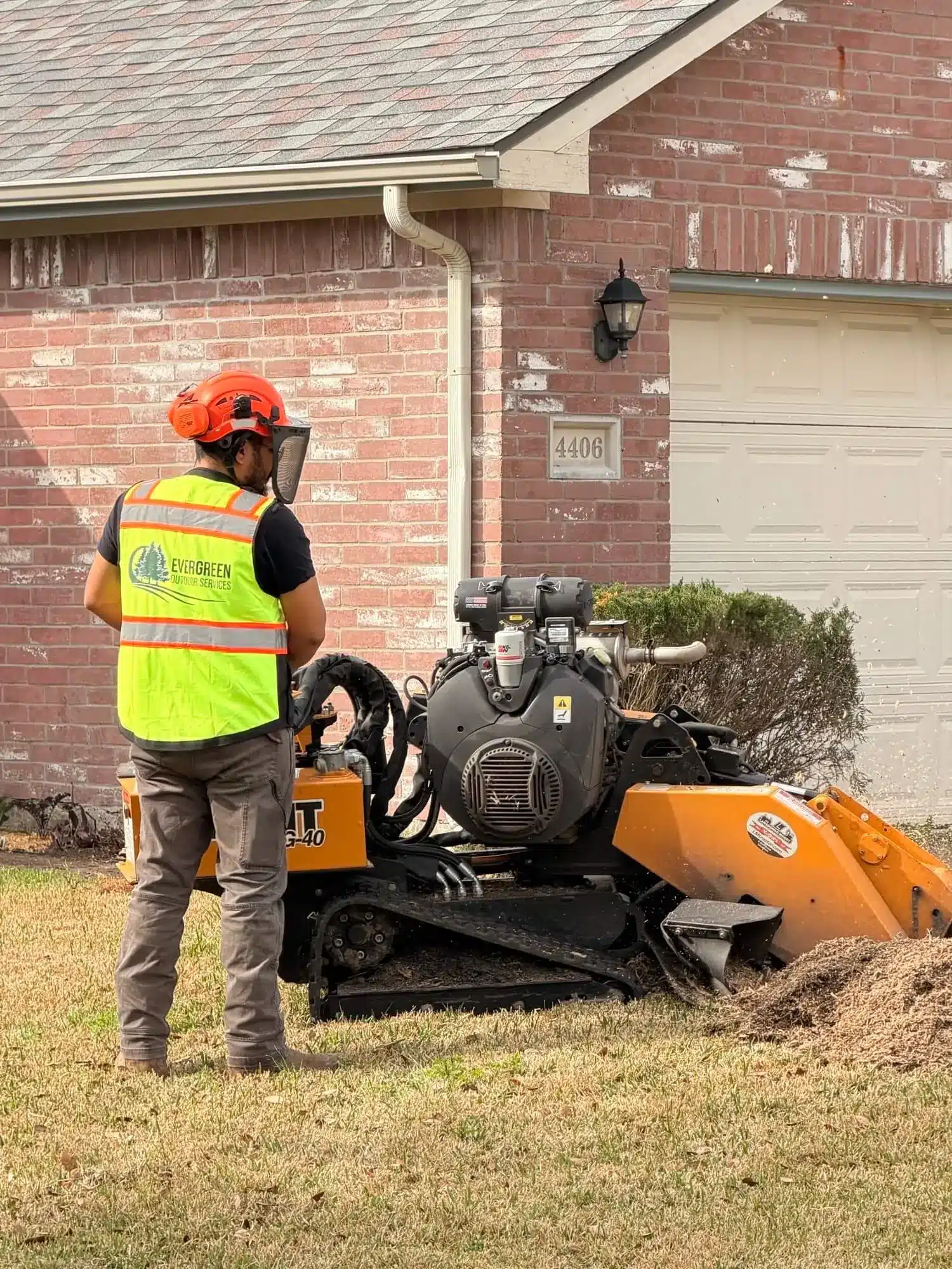 Clean oak stump remaining after tree removal, ready for grinding