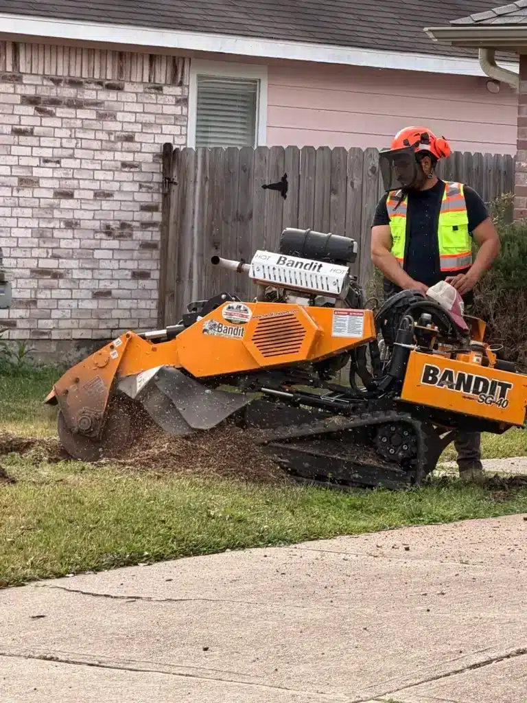 Evergreen Outdoor Services crew member operating a Bandit SG-40 stump grinder to remove a tree stump in a residential front yard.