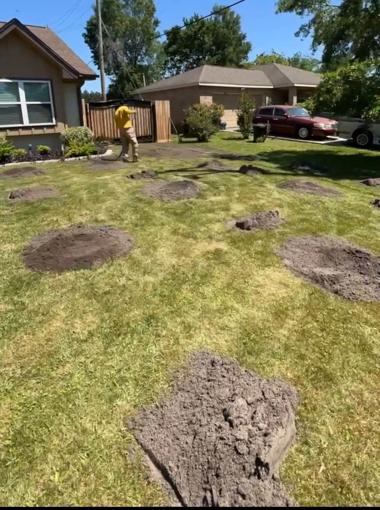 The beginning state of a Houston lawn before topdressing and aeration