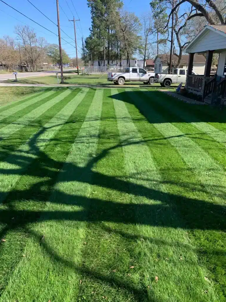 Freshly striped green lawn at a residential property in the 77044 area on a sunny day