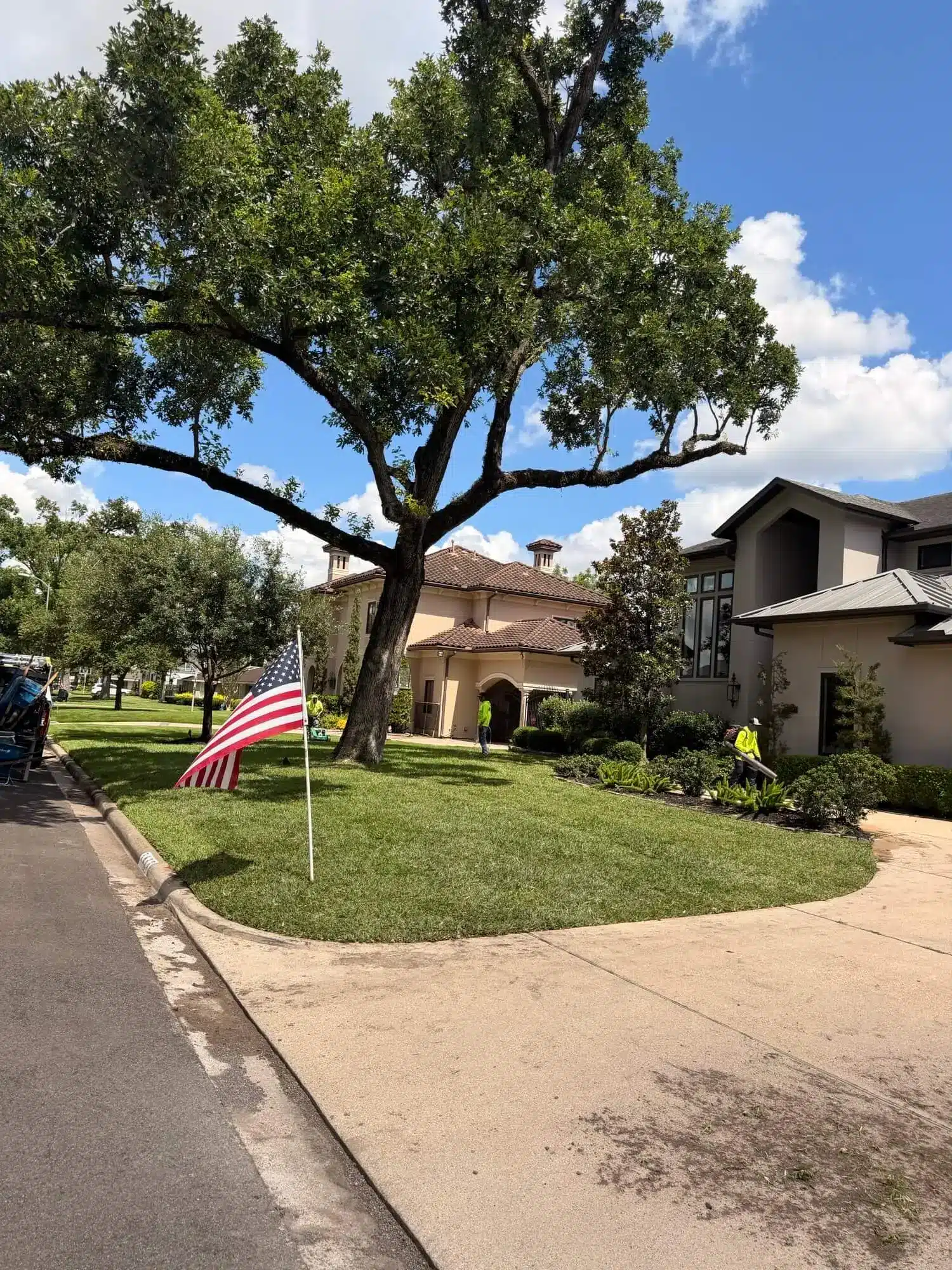 Fresh sod installation in West Houston for a residential lawn