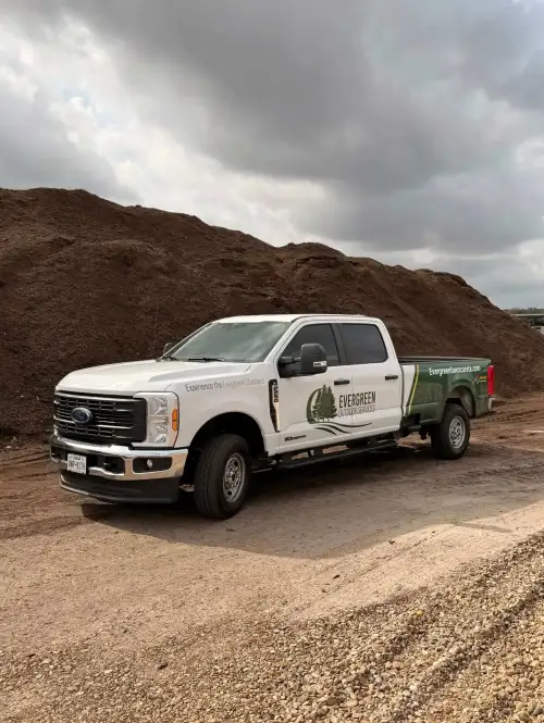 Evergreen Outdoor Services crew on site for winter tree and shrub pruning in Houston