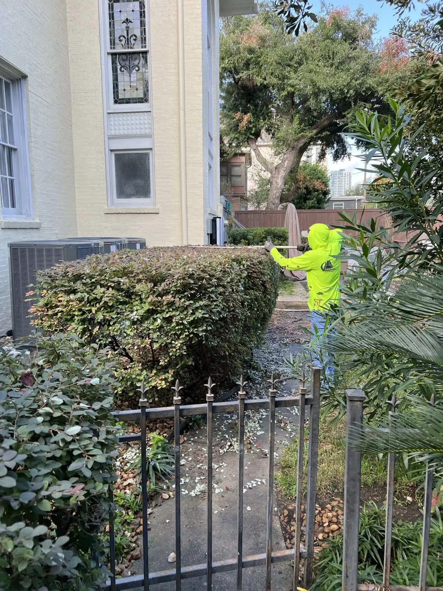 Winter pruning in Houston: property cleanup after dormant-season tree and shrub trimming