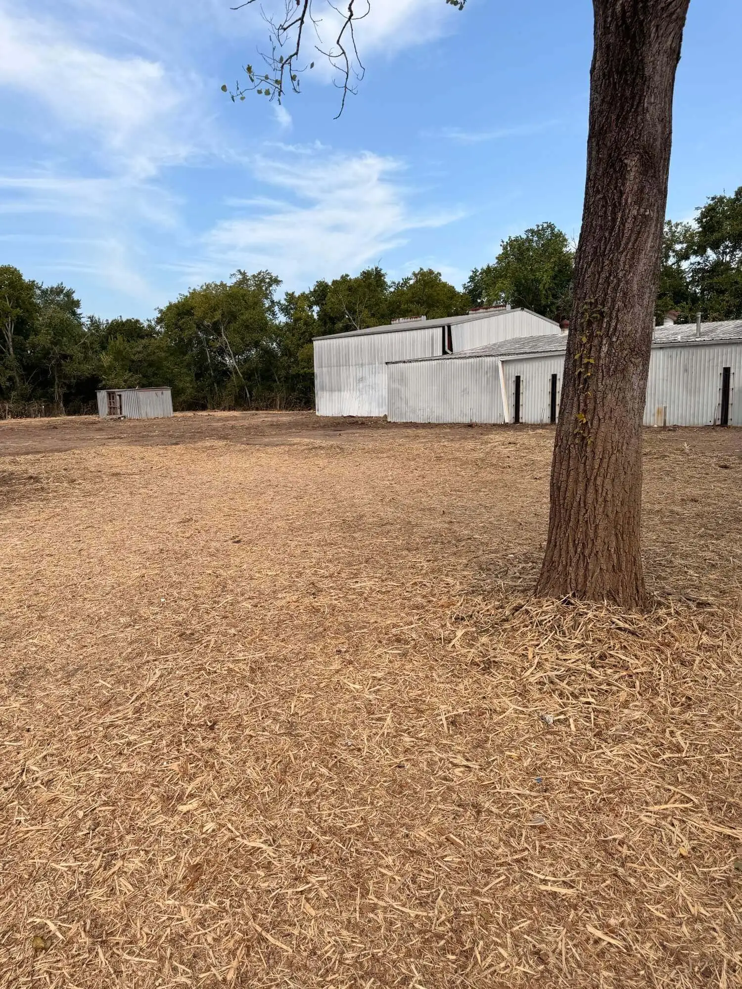 Cleared Houston property after a large land clearing and property reset project